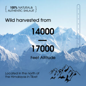 wild harvest shilajit resin