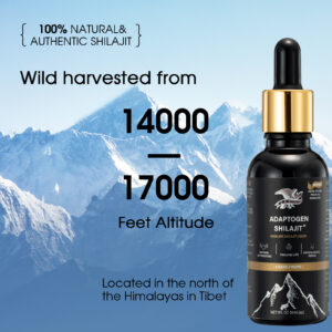 Adaptogens shilajit liquid