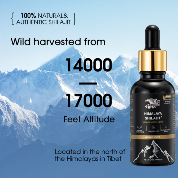 Authentic Himalaya Shilajit Liquid – Gold-Grade Extract with 85+ Minerals & Fulvic Acid for Enhanced Absorption - Image 2