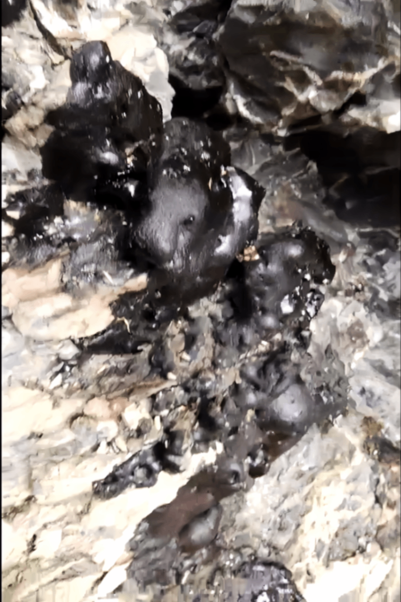 wild harvest shilajit stone
